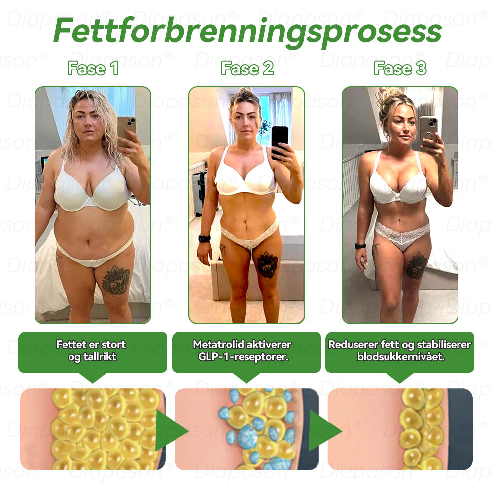 Offisiell butikk | 𝖣𝑖𝑎𝑝𝑎𝑠𝑜𝑛®🍒 𝐺𝐿𝑃-1 Sju-i-én kosttilskudd (munnløsning) (Kun én gang i uken – synlige resultater på bare 7 dager) ✅ For overvekt, hjerte- og karhelse, diabetes, søvnapné, leddplager og mer